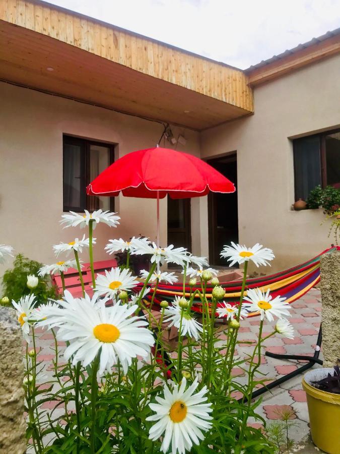 Guesthouse And Cottage Nicolo Kazbegi Kültér fotó